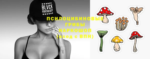 стафф Абдулино