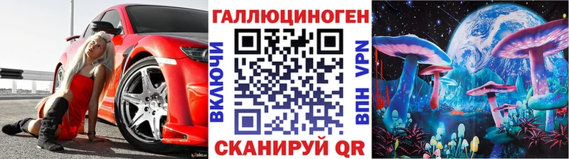 Галлюциногенные грибы Psilocybe  магазин продажи наркотиков  Алейск 