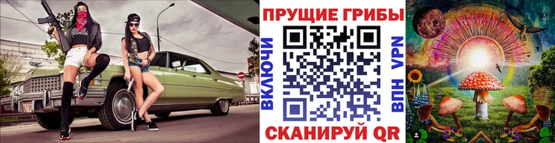 Псилоцибиновые грибы Cubensis Алейск